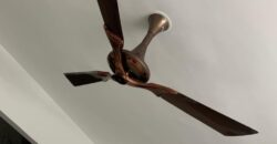 2bhk