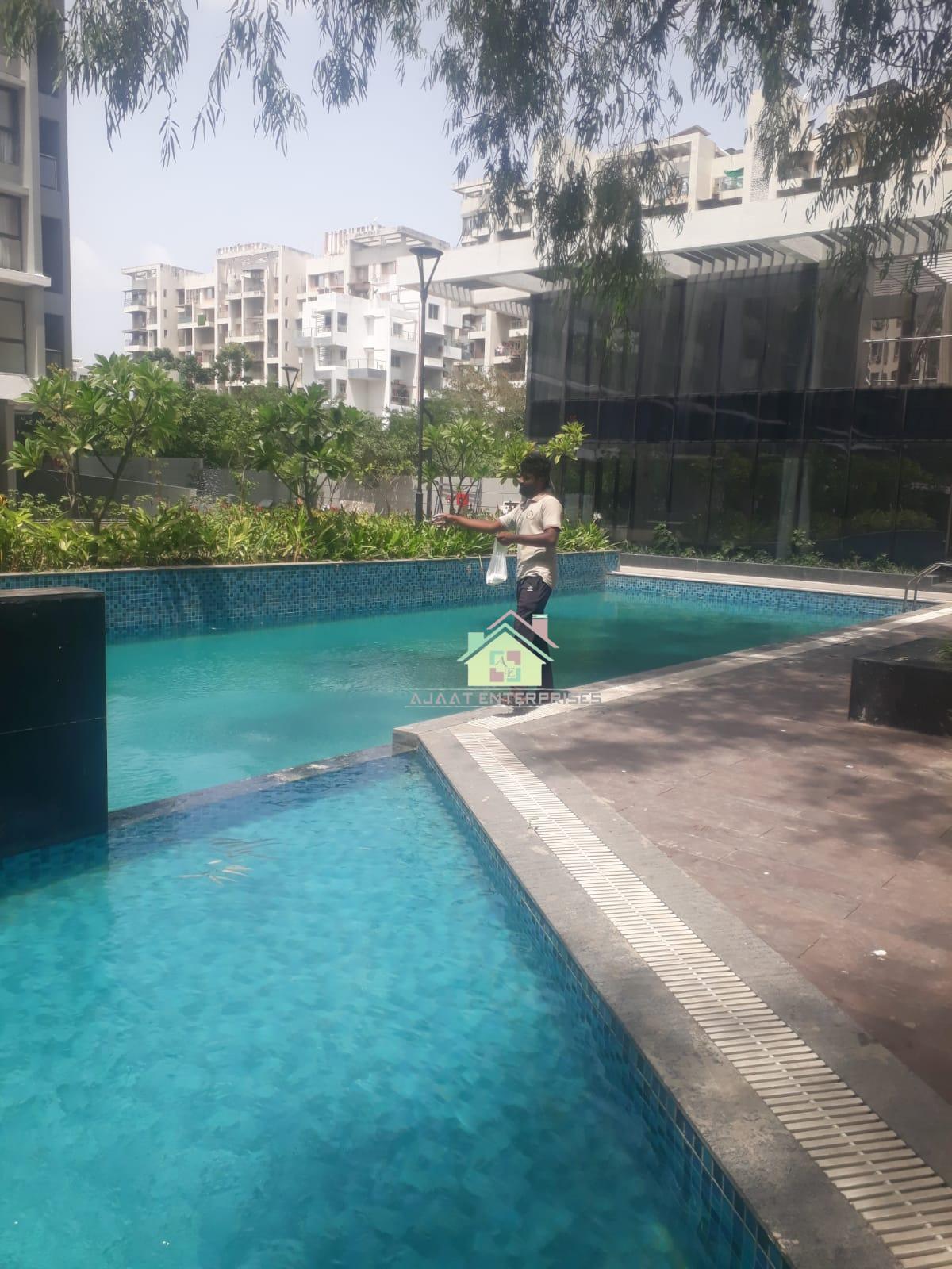 2bhk